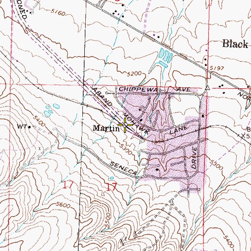 Topographic Map of Martin, NV