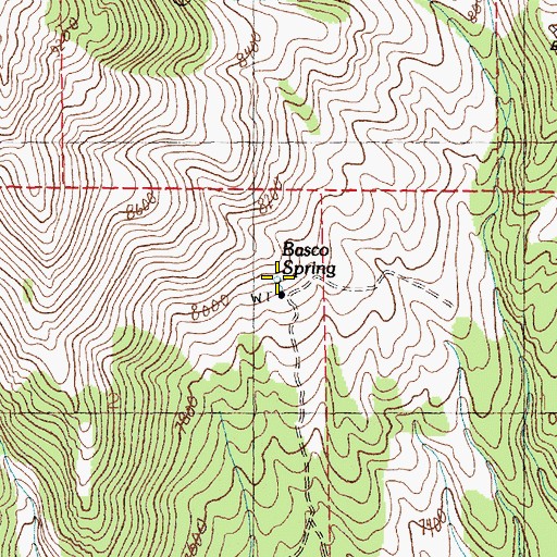Topographic Map of Basco Spring, NV