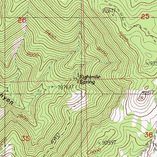 Topographic Map of Eightmile Spring, NV