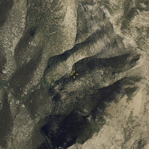 Aerial/Satellite Image of Eightmile Spring, NV