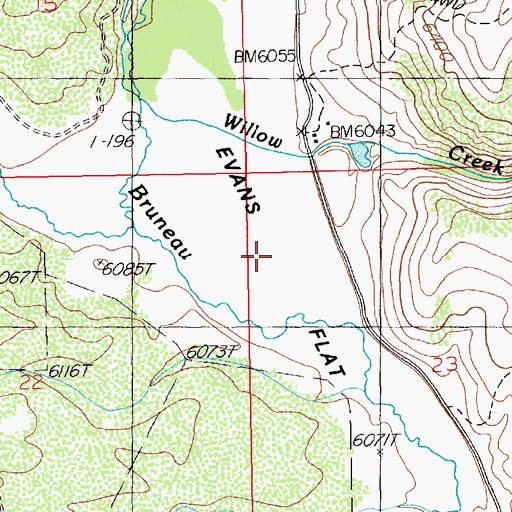 Topographic Map of Evans Flat, NV