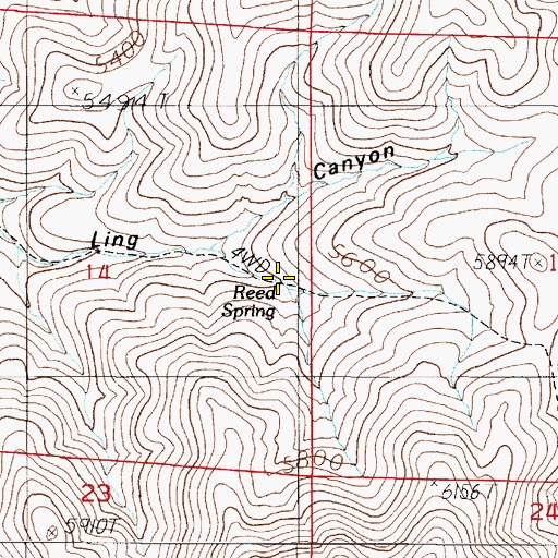 Topographic Map of Reed Spring, NV