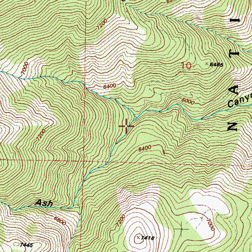 Topographic Map of Ashs Sawmill (historical), NV