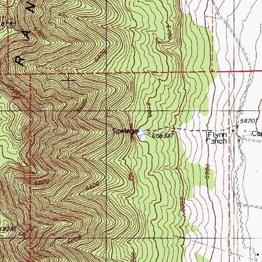Topographic Map of Flynn Ranch Springs, NV