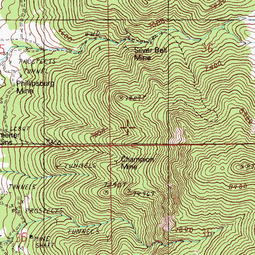 Topographic Map of Mammoth Mine, NV