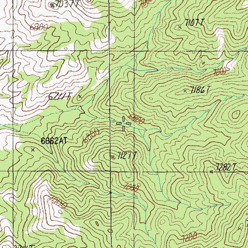 Topographic Map of Trough Spring, NV
