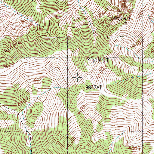 Topographic Map of Quinn Canyon Range, NV