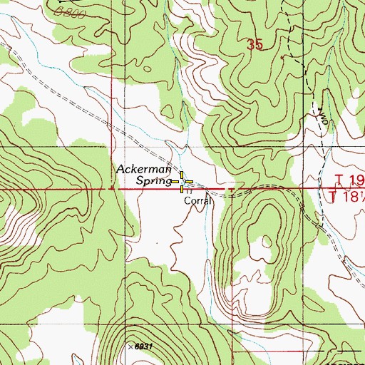 Topographic Map of Ackerman Spring, NV