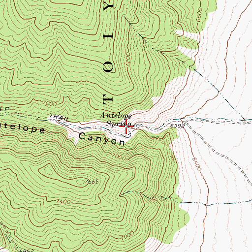 Topographic Map of Antelope Spring, NV