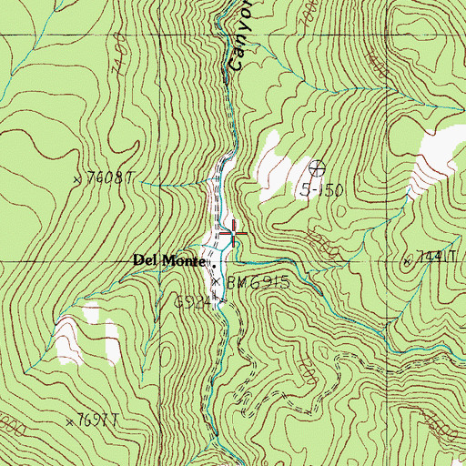 Topographic Map of Aurora Creek, NV