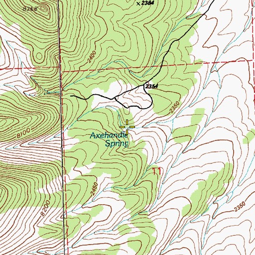 Topographic Map of Axehandle Spring, NV