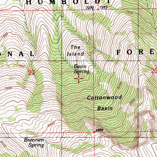 Topographic Map of Basin Spring, NV