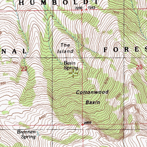 Topographic Map of Basin Spring, NV