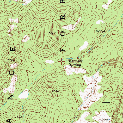 Topographic Map of Bernice Spring, NV