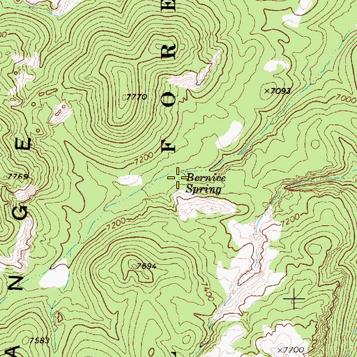 Topographic Map of Bernice Spring, NV