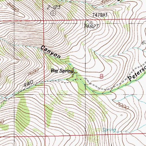 Topographic Map of Big Spring, NV