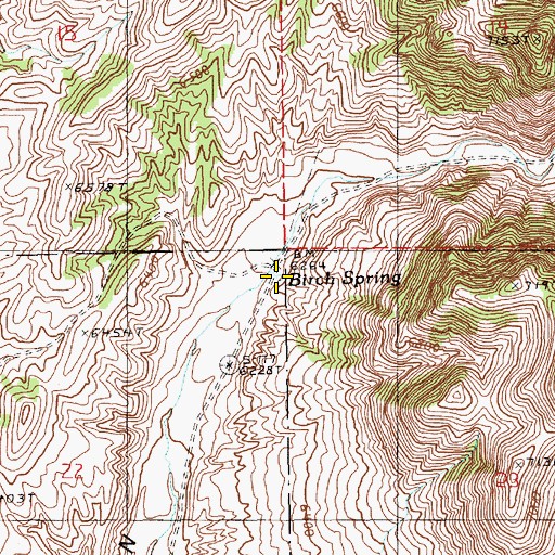 Topographic Map of Birch Spring, NV