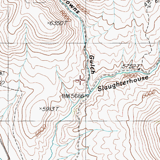 Topographic Map of Browns Gulch, NV