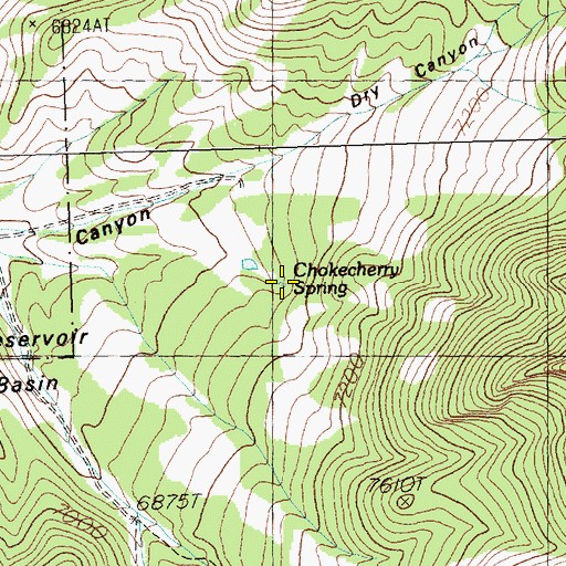 Topographic Map of Chokecherry Spring, NV