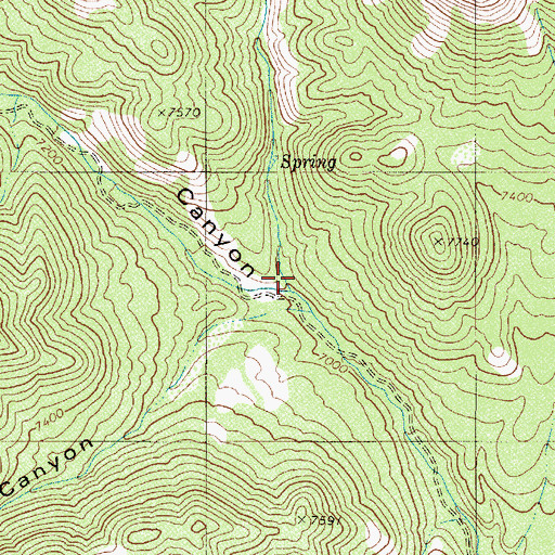 Topographic Map of Deer Canyon, NV