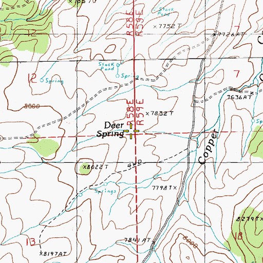 Topographic Map of Deer Spring, NV