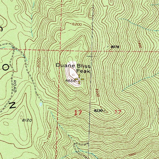 Topographic Map of Duane Bliss Peak, NV