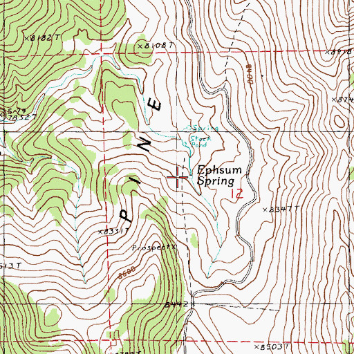 Topographic Map of Ephsum Spring, NV