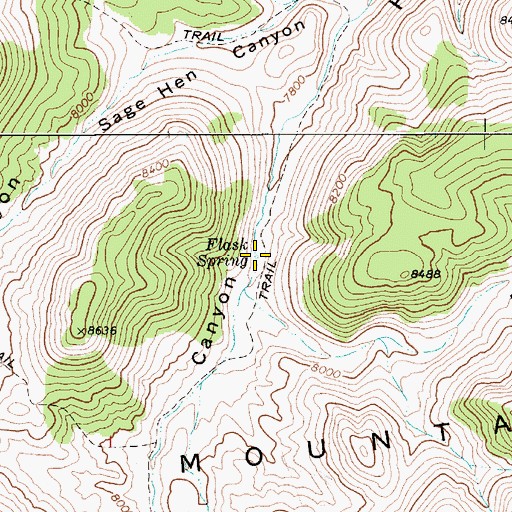 Topographic Map of Flask Spring, NV