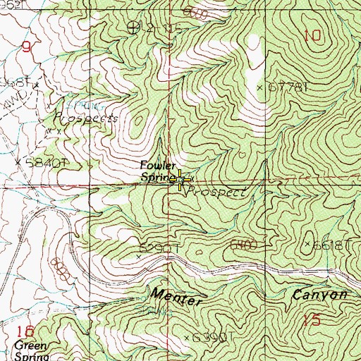 Topographic Map of Fowler Spring, NV
