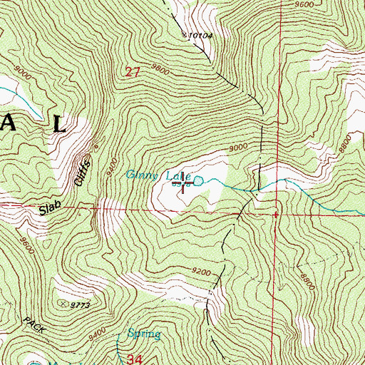 Topographic Map of Ginny Lake, NV