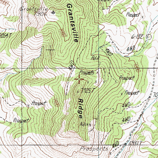 Topographic Map of Grantsville Ridge, NV