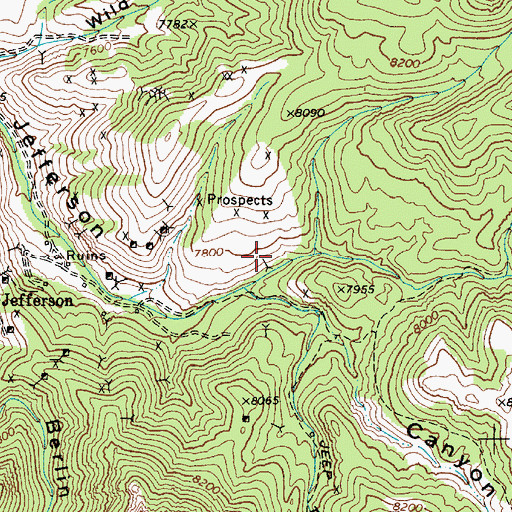 Topographic Map of Grassy Canyon, NV