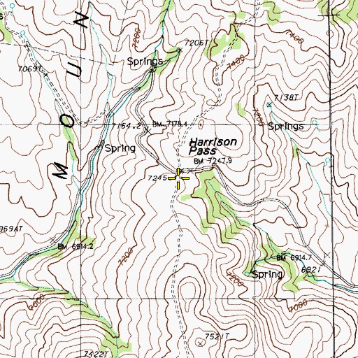 Topographic Map of Harrison Pass, NV