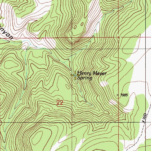 Topographic Map of Henry Meyer Spring, NV