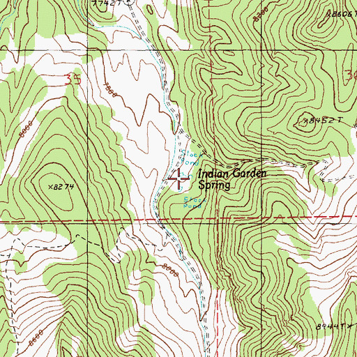 Topographic Map of Indian Garden Spring, NV