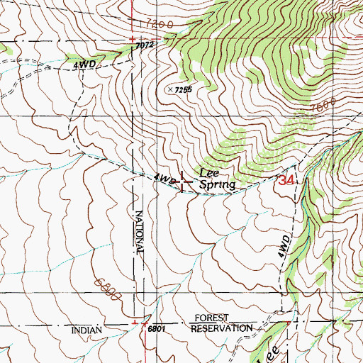 Topographic Map of Lee Spring, NV