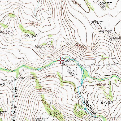 Topographic Map of Little Salmon Creek, NV