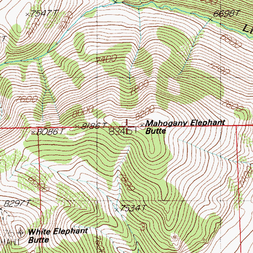 Topographic Map of Mahogany Elephant Butte, NV