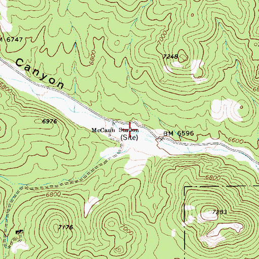 Topographic Map of McCann Station, NV