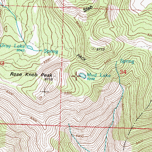 Topographic Map of Mud Lake, NV