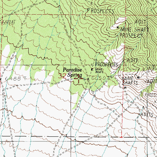 Topographic Map of Paradise Spring, NV