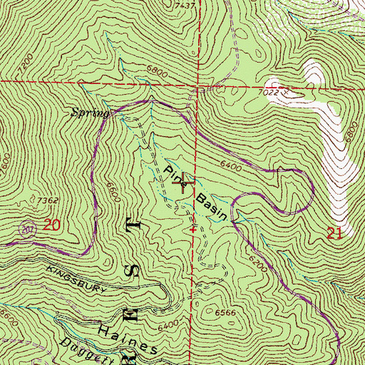 Topographic Map of Pine Basin, NV