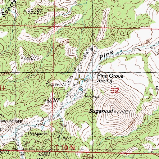 Topographic Map of Pine Grove Spring, NV