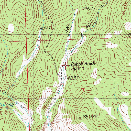Topographic Map of Rabbit Brush Spring, NV