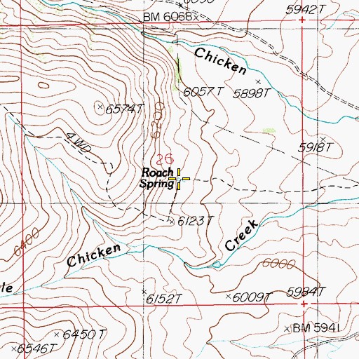 Topographic Map of Roach Spring, NV