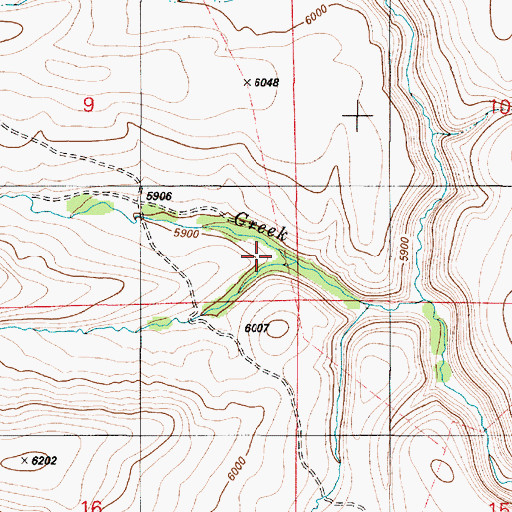 Topographic Map of Road Creek, NV