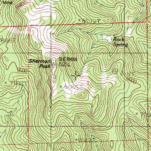 Topographic Map of Rock Spring, NV