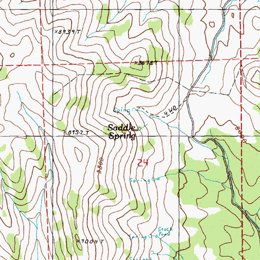 Topographic Map of Saddle Spring, NV