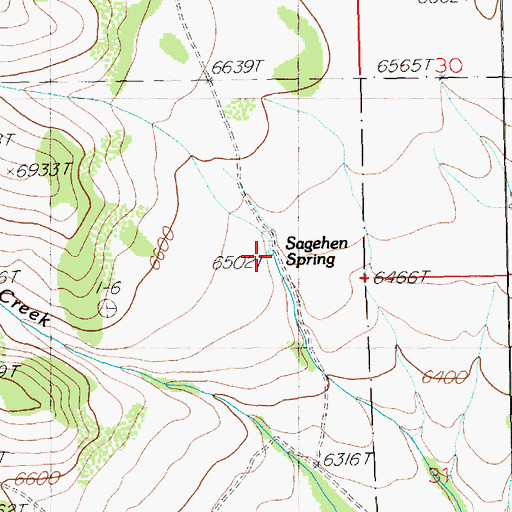 Topographic Map of Sagehen Spring, NV