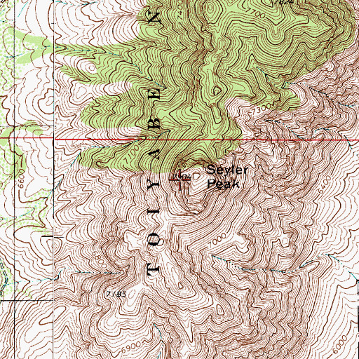 Topographic Map of Seyler Peak, NV